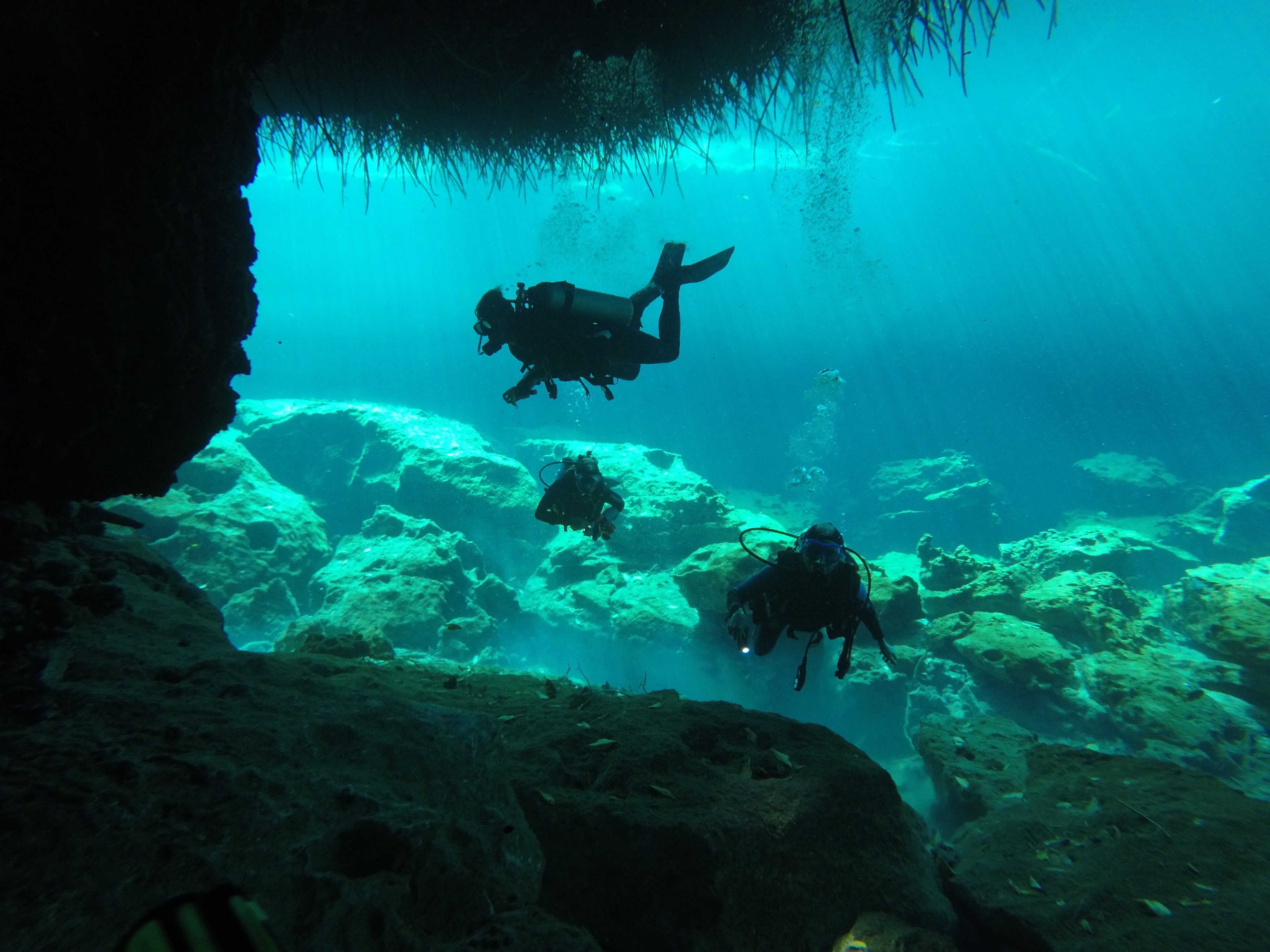 PADI Advanced Diver Cenotes - Image 12