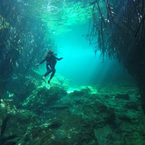 PADI Enriched Air Nitrox