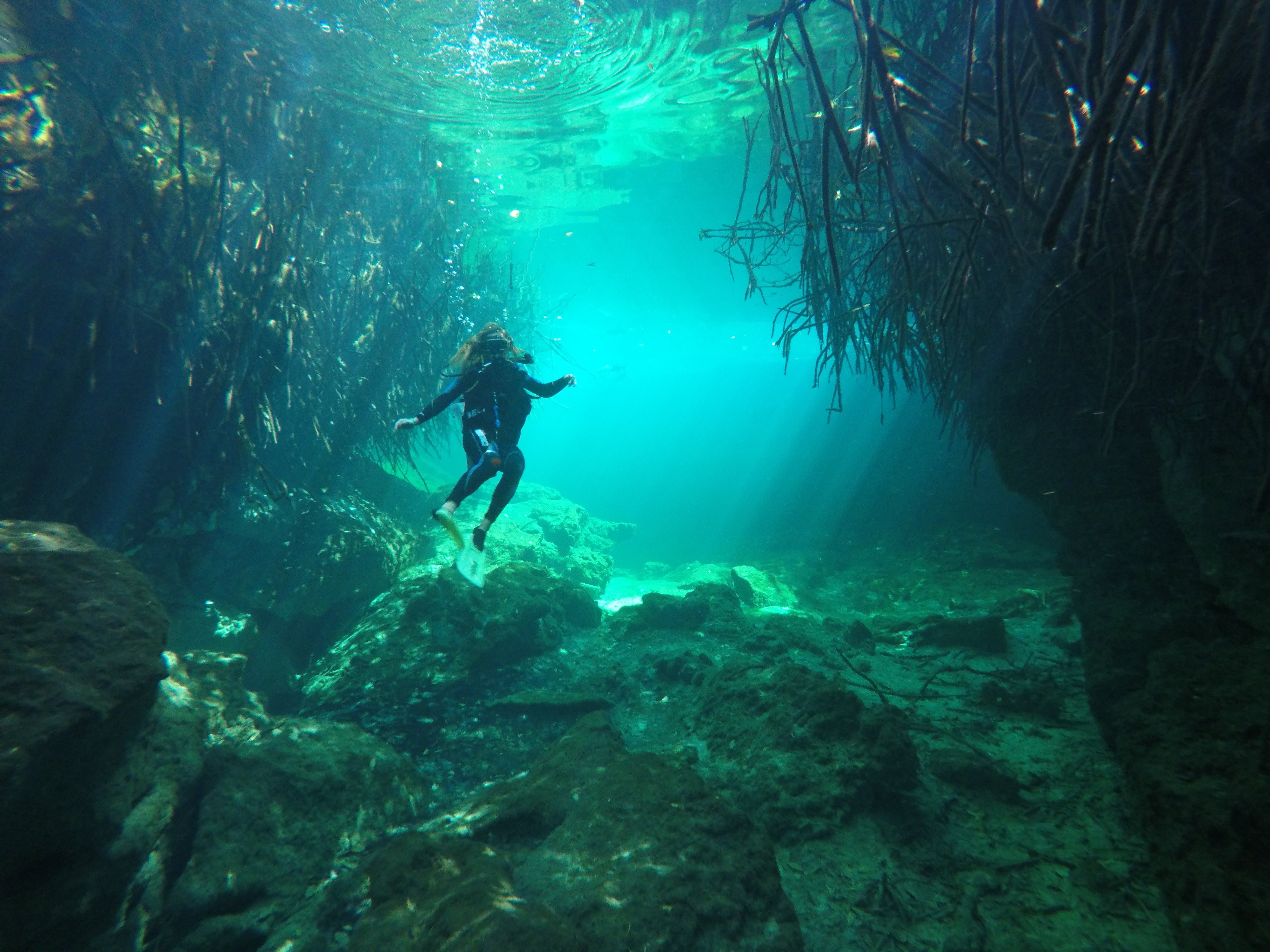 PADI Advanced Diver Cenotes - Image 13