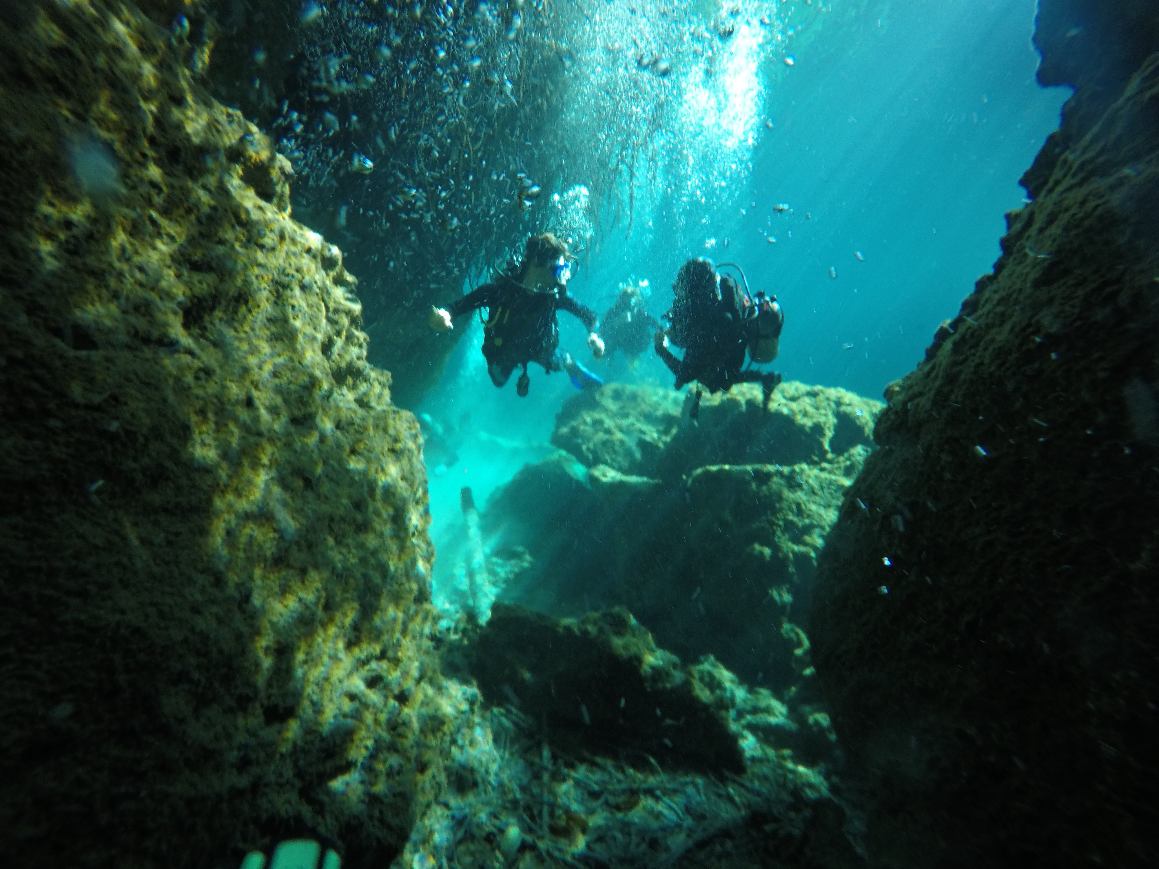 Diving Cenotes Angelita and Car Wash - Image 10