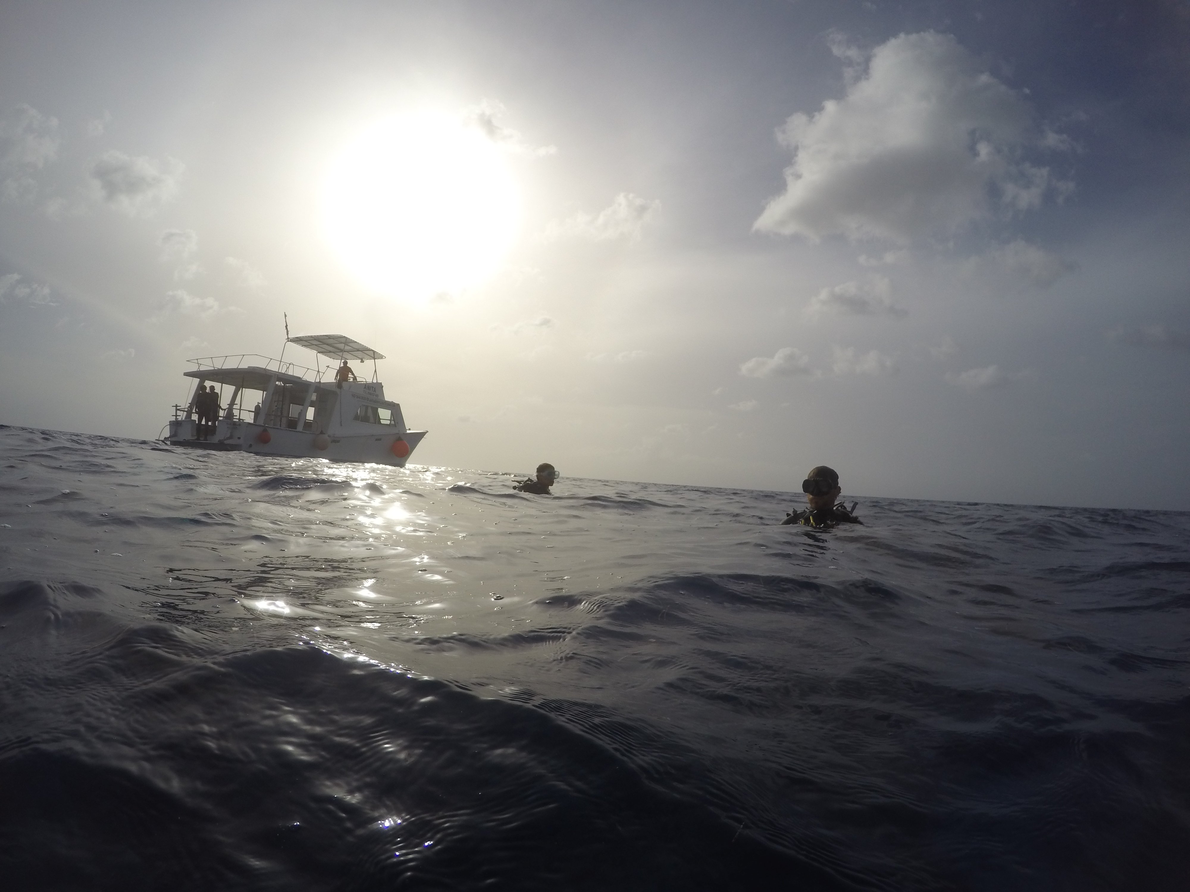 Discovery First Dive Cozumel - Image 8