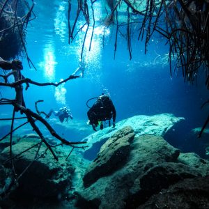 First Dive Ocean and Cenote