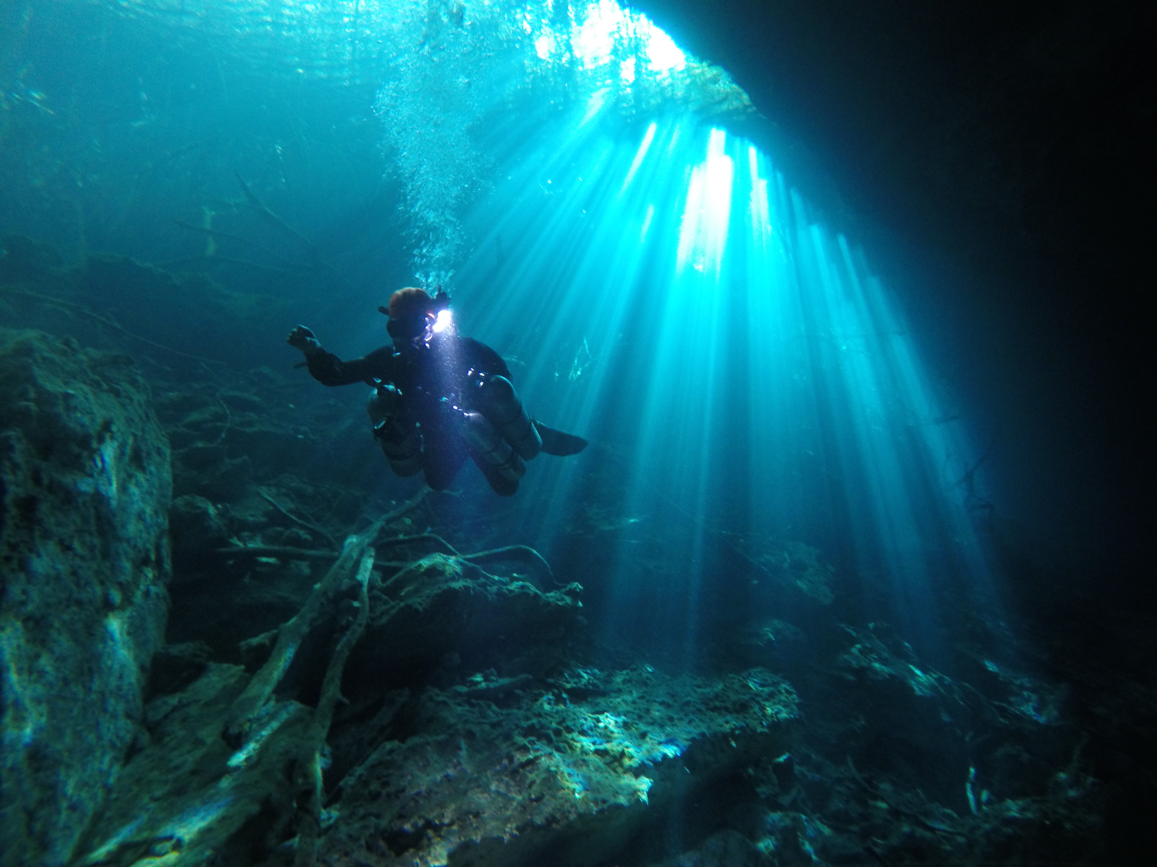 PADI Advanced Diver Cenotes - Image 2