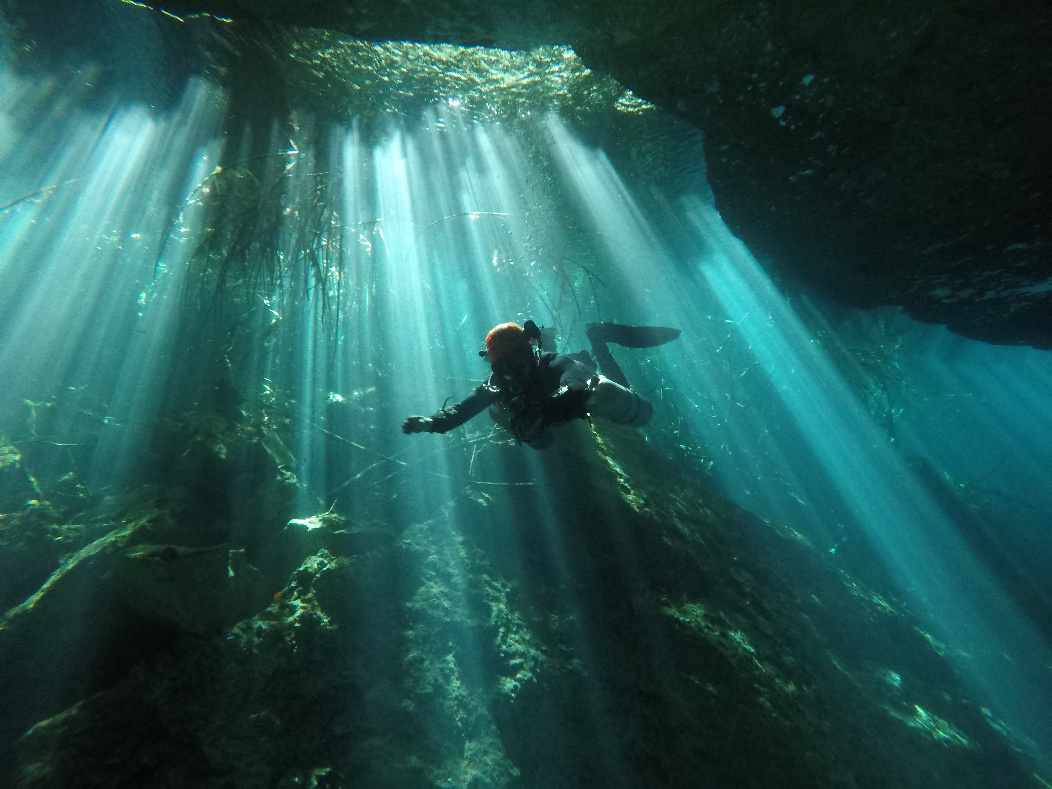 PADI Advanced Diver Cenotes - Image 10