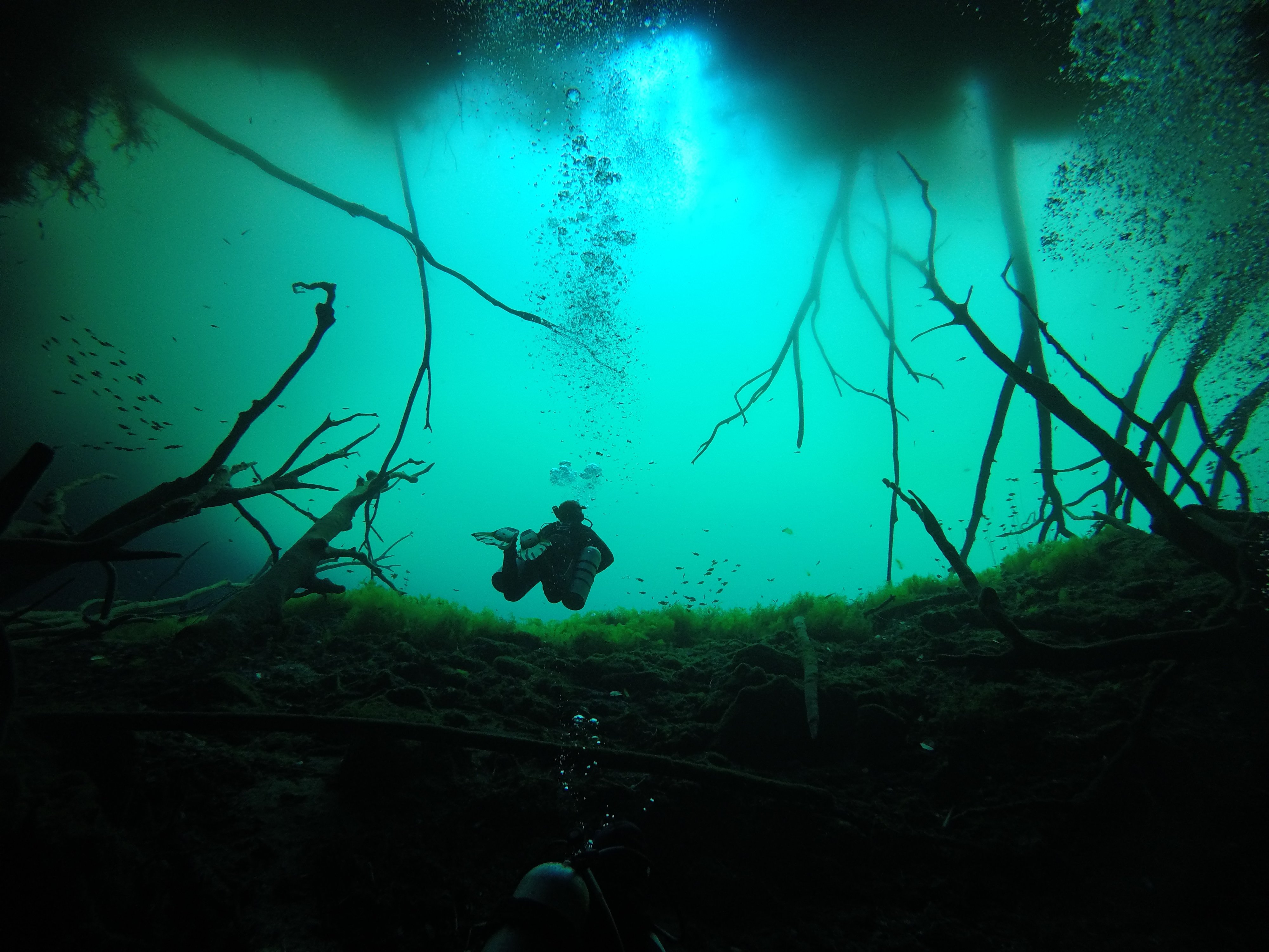 PADI Advanced Diver Cenotes - Image 6