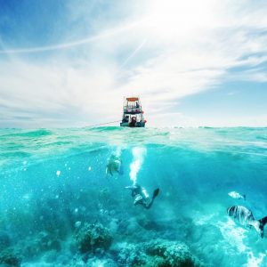 ocean Reef Diving Playa del Carmen a