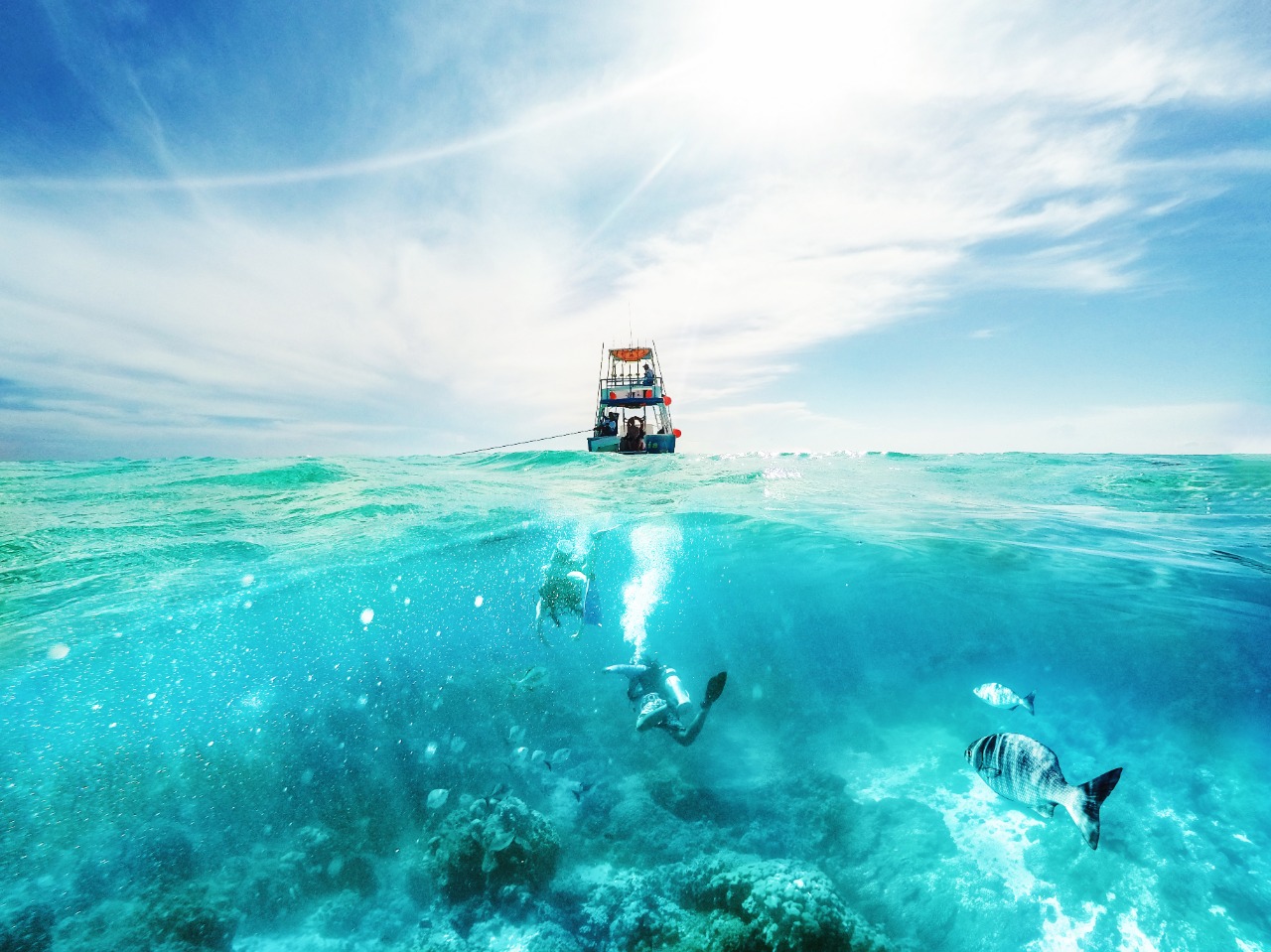 ocean Reef Diving Playa del Carmen a