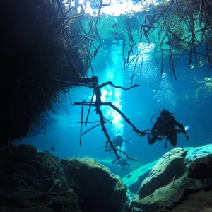 Open Water Ocean and Cenotes