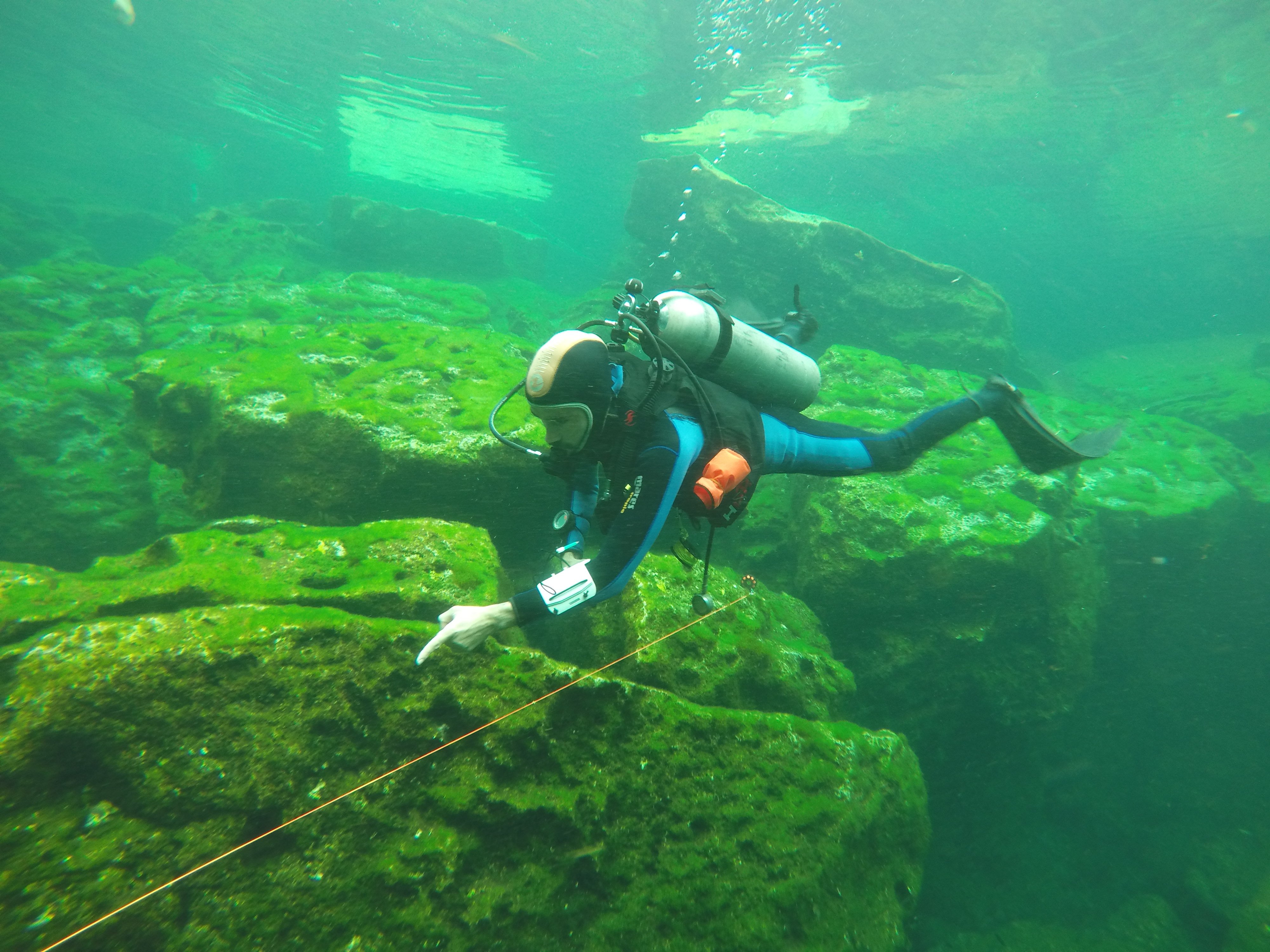 PADI Peak Performance Buoyancy control - Image 6