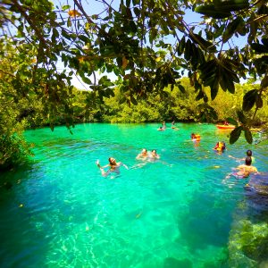 Snorkel Experience in 1 Cenote